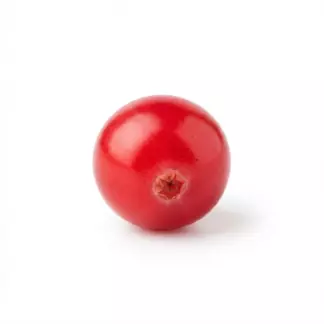 Брусника
